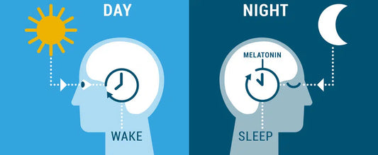 Fixing your circadian rhythm
