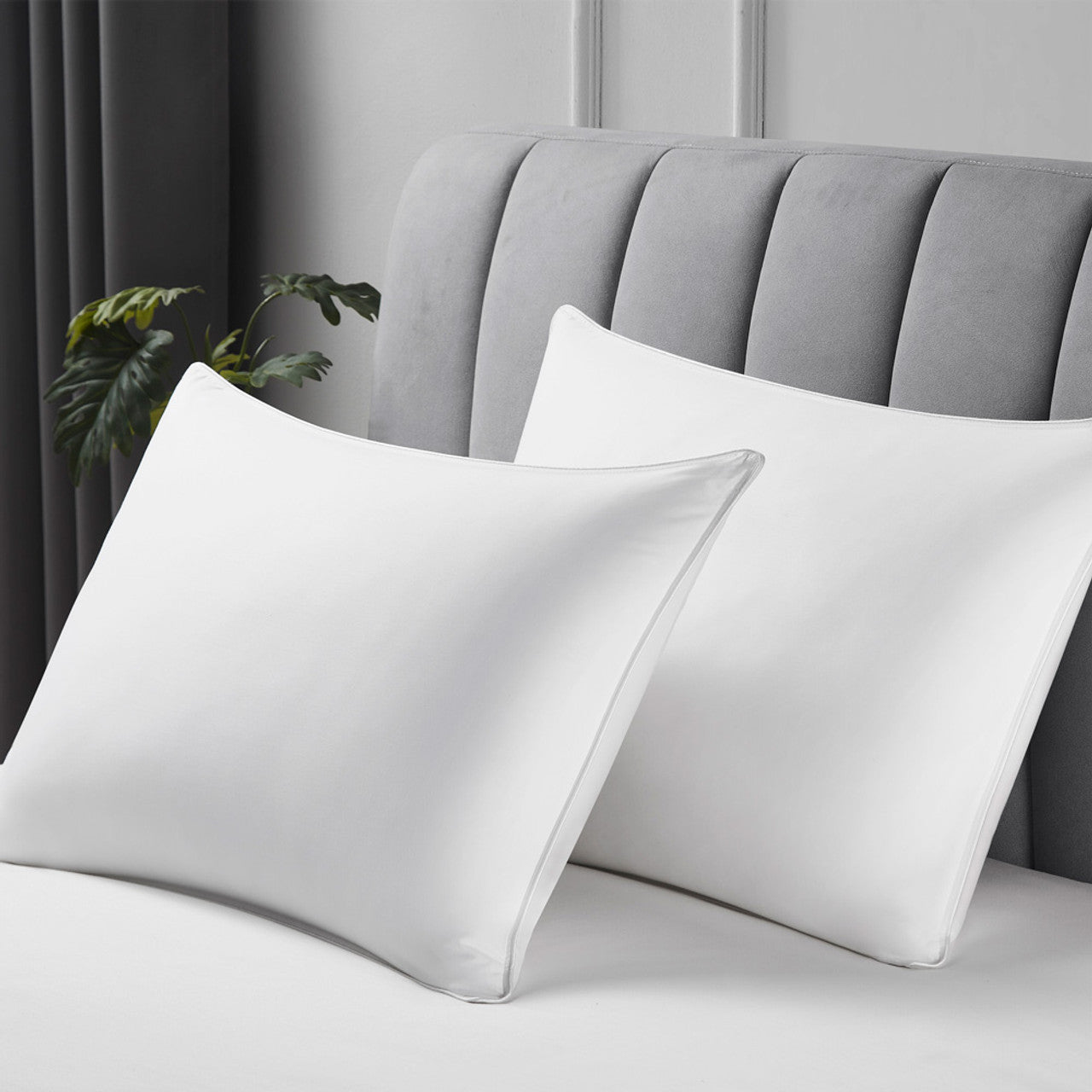 700 Fill Power Pyrenees Medium Chamber Pillow for Back Sleepers by Stearns & Foster®